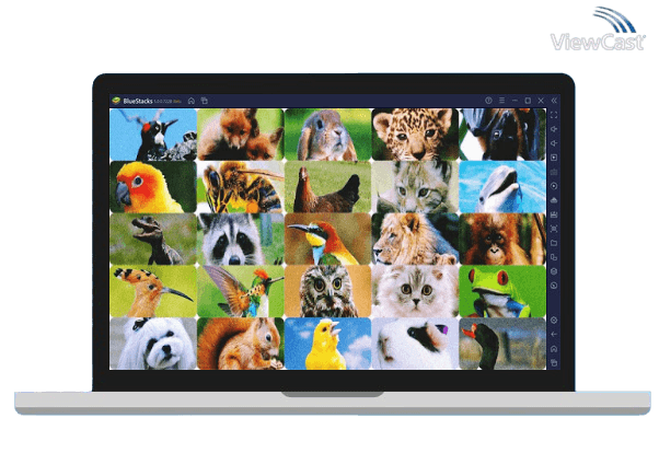 Run Cute Animal Sounds on PC