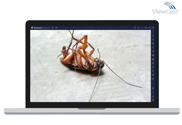 Run Anti Cockroach on PC