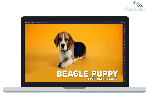 Run Beagle Puppy Live Wallpaper on PC Run Beagle Puppy Live Wallpaper on PC