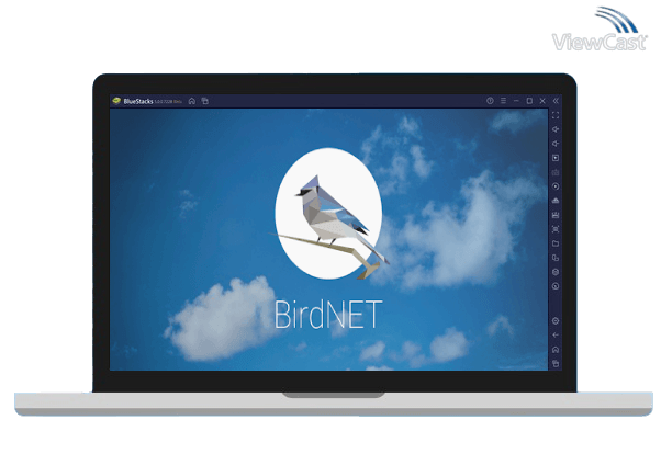 Run BirdNET: Bird sound identification on PC