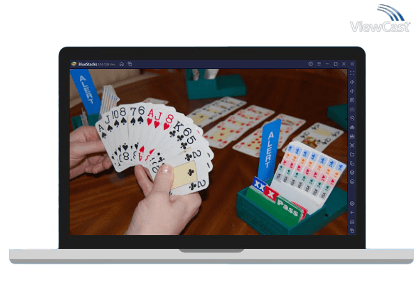 Run BJ Bridge Free (2018) on PC