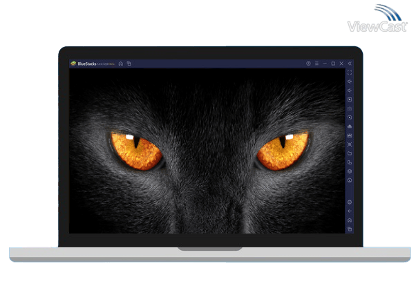 Run Black Cats Live Wallpaper on PC Run Black Cats Live Wallpaper on PC