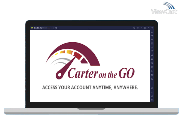 Run Carter on the Go on PC