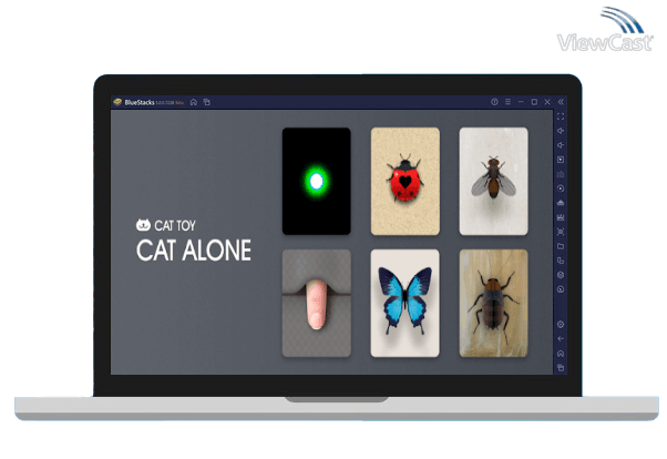 Run CAT ALONE - Cat Toy on PC Run CAT ALONE - Cat Toy on PC