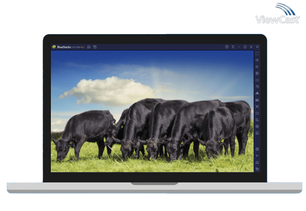 Run Cattle Market Mobile on PC