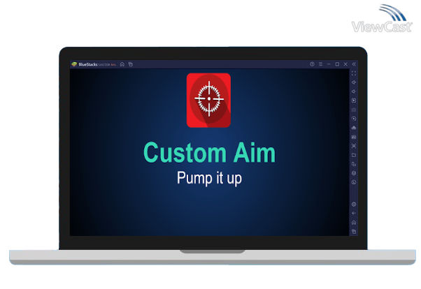 Run Custom Aim on PC