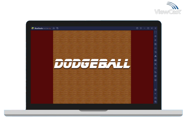Run Dodgeball on PC