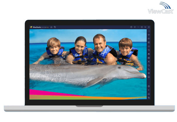 Run Dolphin Memories on PC