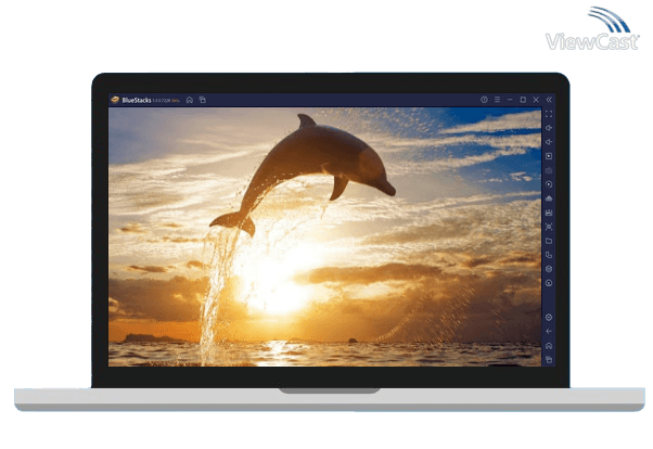 Run Dolphins 4K Live Wallpaper on PC Run Dolphins 4K Live Wallpaper on PC