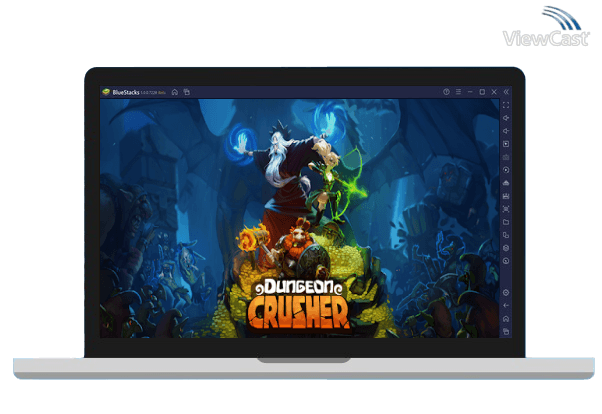 Run Dungeon Crusher: Soul Hunters on PC