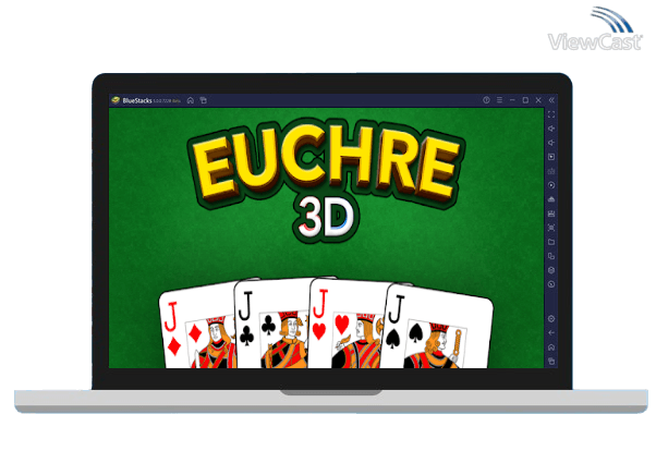 Run Euchre 3D on PC Run Euchre 3D on PC