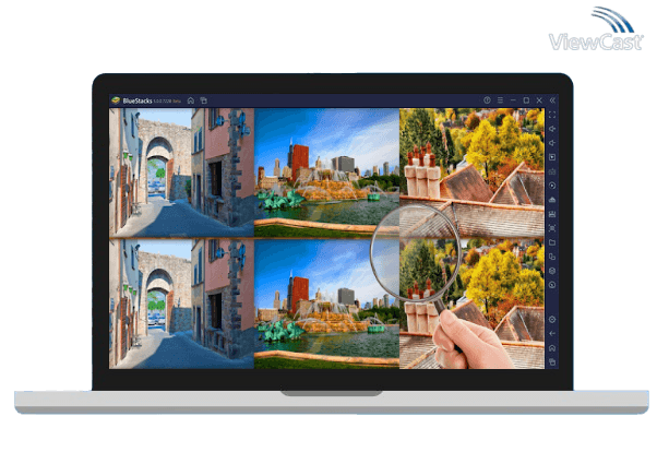 Run Find Differences: Offline Game on PC