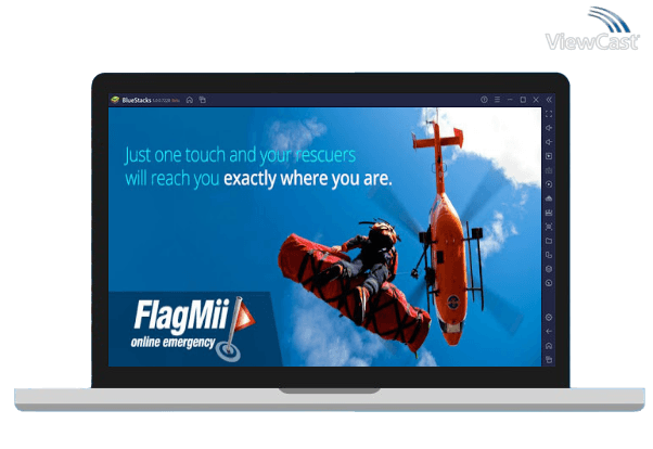 Run FlagMii on PC