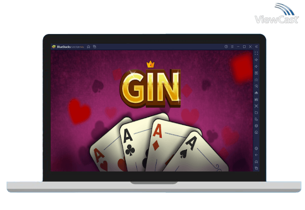 Run Gin Rummy - Offline on PC