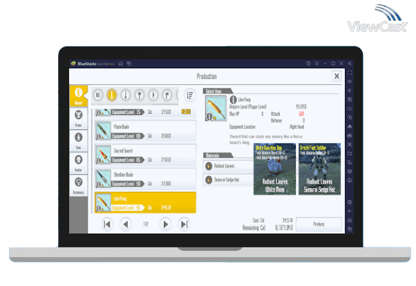 Run How to SAOIFEP on PC