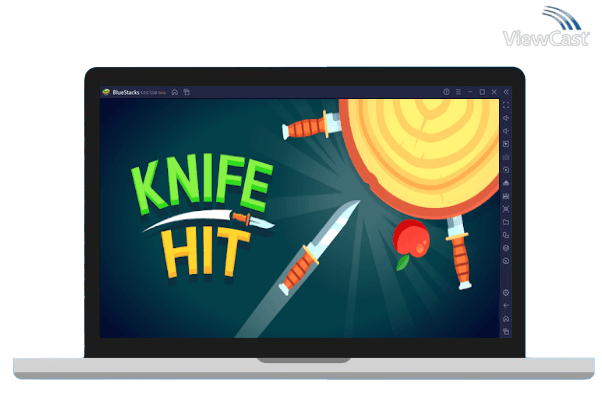 Run Knife Hit on PC