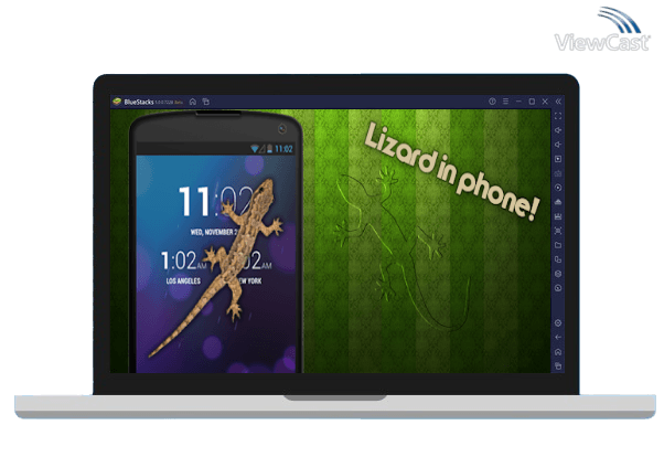 Lizard Using A Computer Download Lizard in phone for PC / Windows / Computer