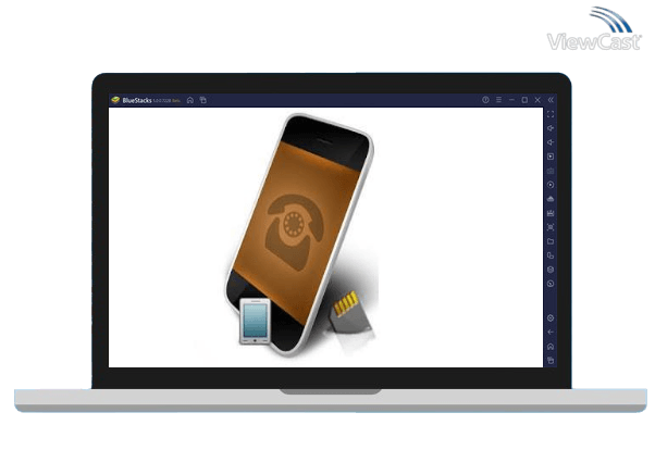 Run MemoryInfo & Swapfile Check on PC
