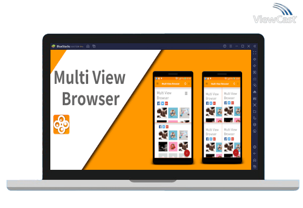 Run Multi View Browser on PC Run Multi View Browser on PC