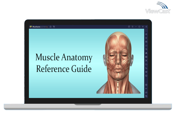 Run Muscle Anatomy Reference Guide on PC Run Muscle Anatomy Reference Guide on PC