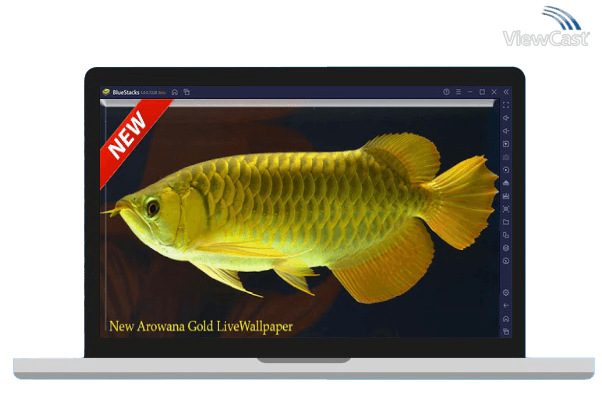 Run New Arowana Gold LiveWallpaper on PC Run New Arowana Gold LiveWallpaper on PC