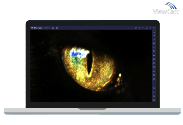 Download New Catcheye Plus for PC / Windows / Computer