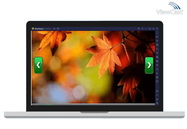 Run P2P WIFI camera on PC Run P2P WIFI camera on PC