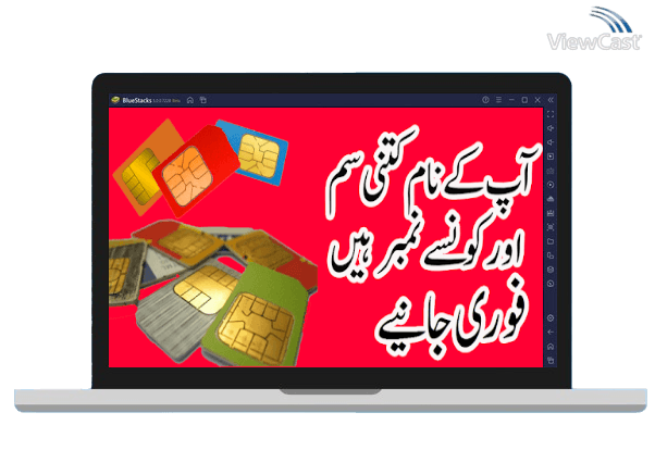 Run Pak SIM Information : SIM Verification on PC