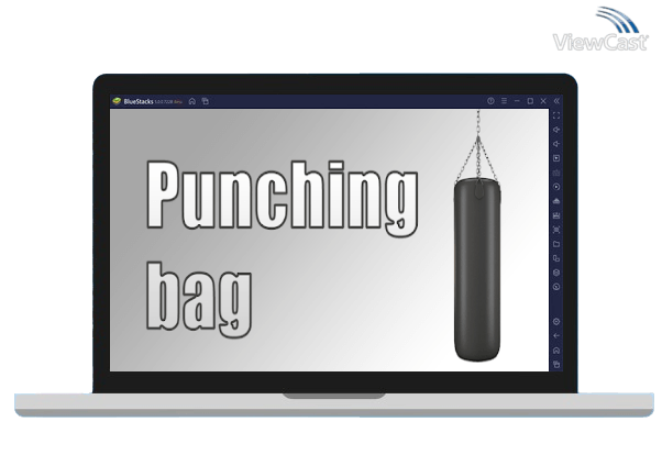 Run Punching bag on PC