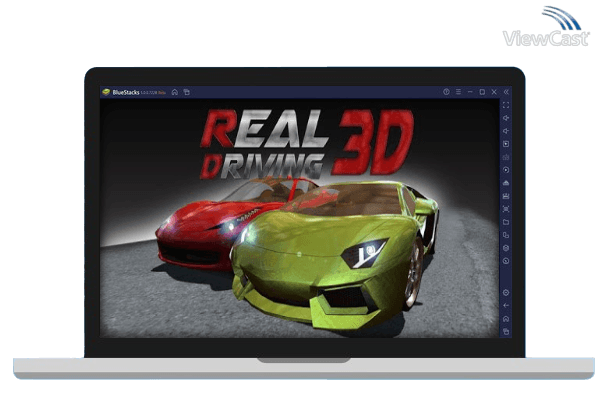Run Real Driving 3D on PC