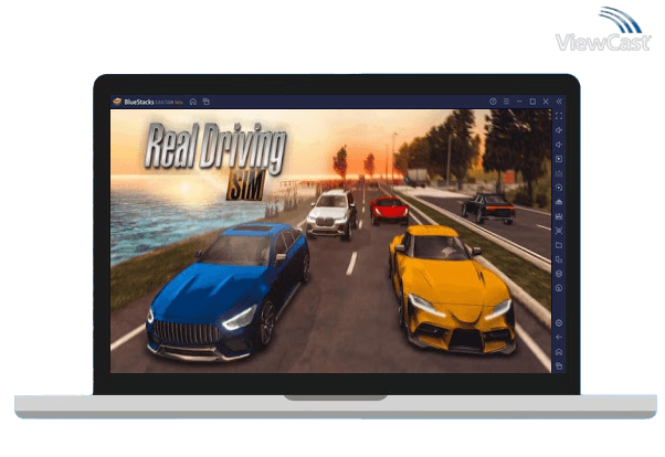 Run Real Driving Sim on PC