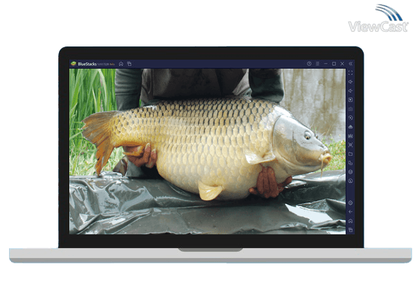 Run River Monsters Fish On! on PC