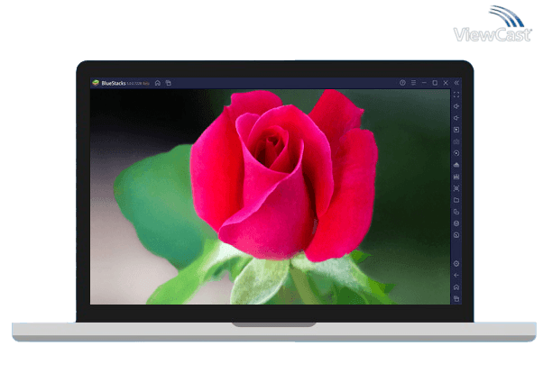 Run Rose Live Wallpaper HD 4K on PC Run Rose Live Wallpaper HD 4K on PC