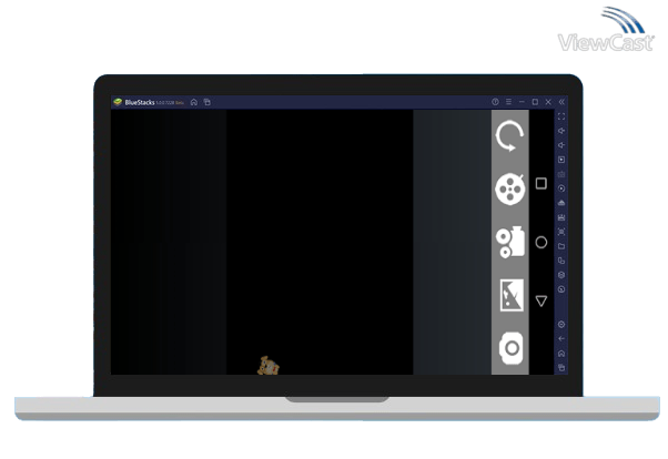 Run Scope View on PC