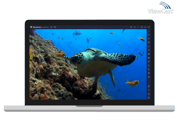 Run Sea Turtle. Live wallpaper. on PC