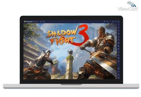 Run Shadow Fight 3 on PC