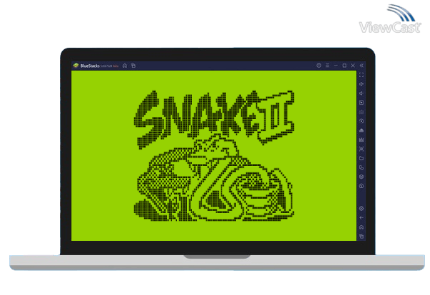 Run Snake II - Game of Retro Nokia phones on PC