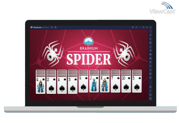 Run Spider Solitaire on PC
