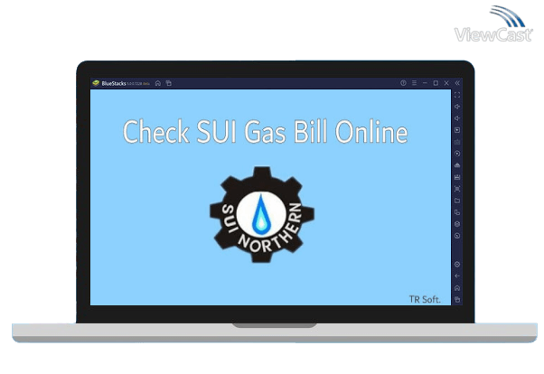 Run SUI Gas Bill Check on PC
