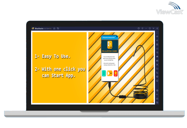 Run usb otg camera endoscope checker on PC