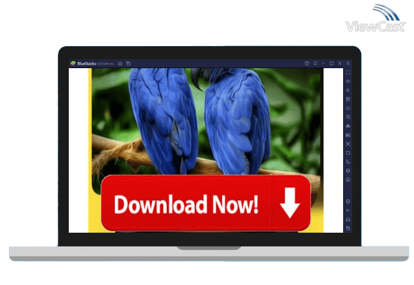 Run Video Downloader 2021 - All Video Downloader New on PC Run Video Downloader 2021 - All Video Downloader New on PC