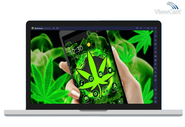 Run Weed Rasta Smoke Theme on PC